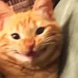 Lulu_Sol