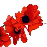 Poppy
