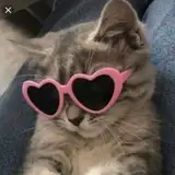 kookie