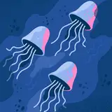 Sa-sa