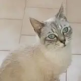 Mariapia