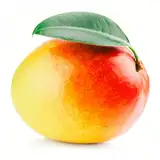Vojtěch