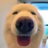 Jerrykuoa