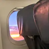 ale