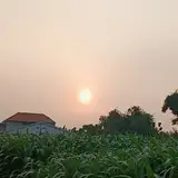unyah