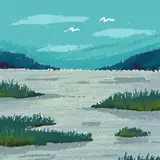 nisasamchi