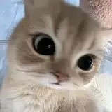 Tati