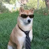 ZAX